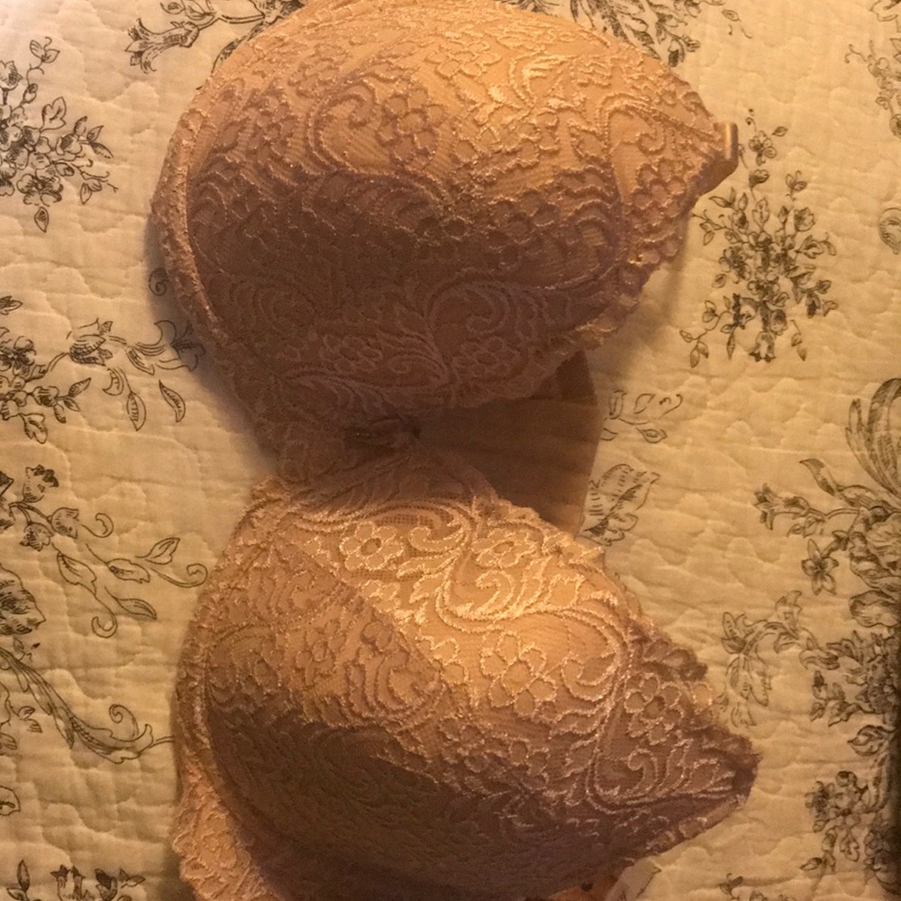 Brand new full figure plunge push up bra